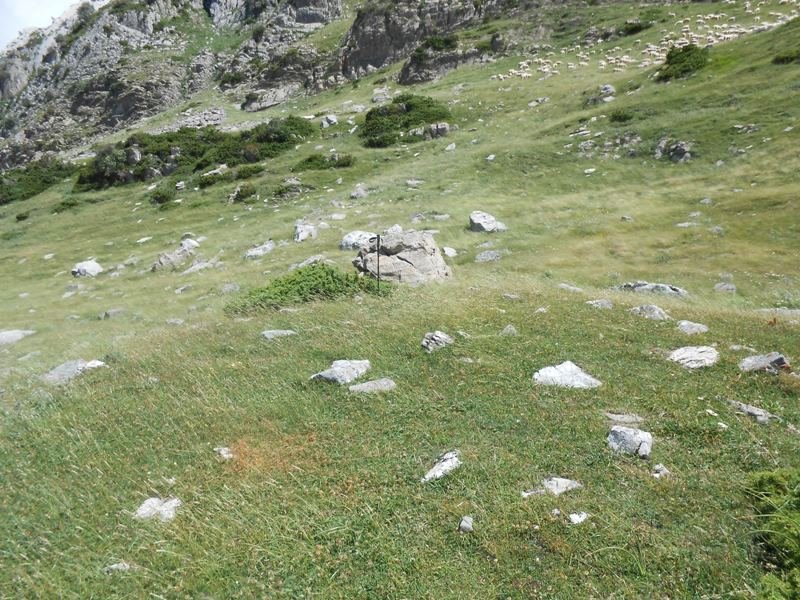 Faja de Napazal trikuharria