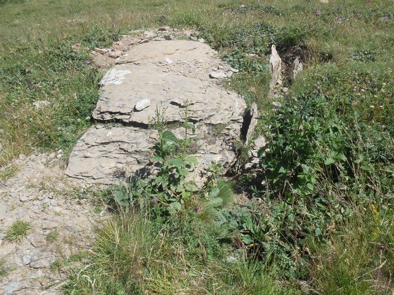 Cantal de Curets trikuharria