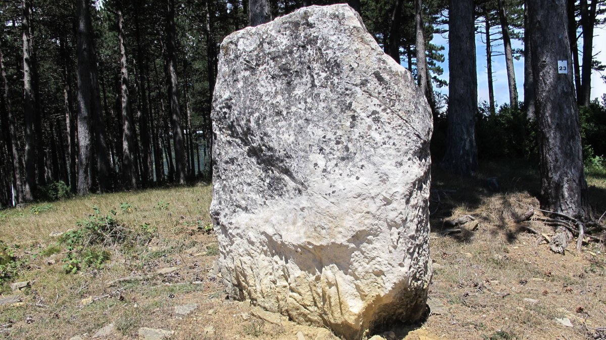 Arriurdin zutarria, Etxague-Oloritz