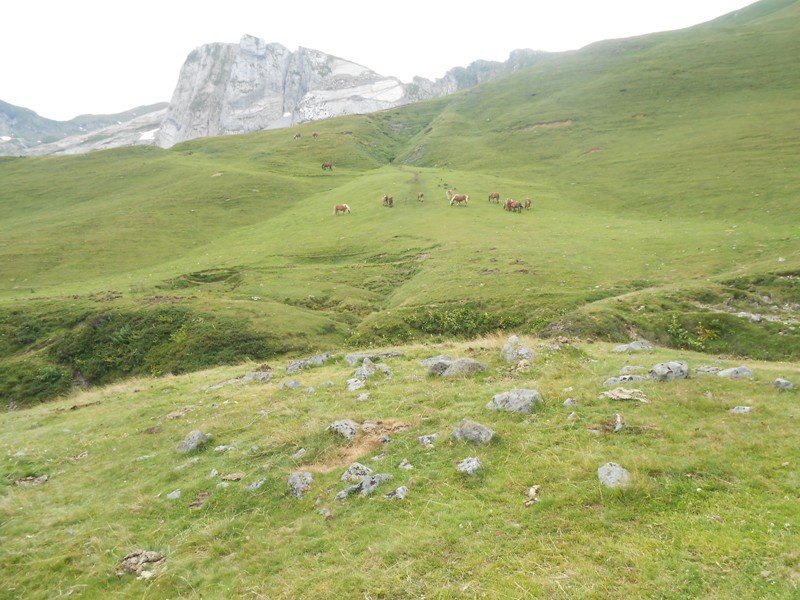 Col d'Iseye harrespila