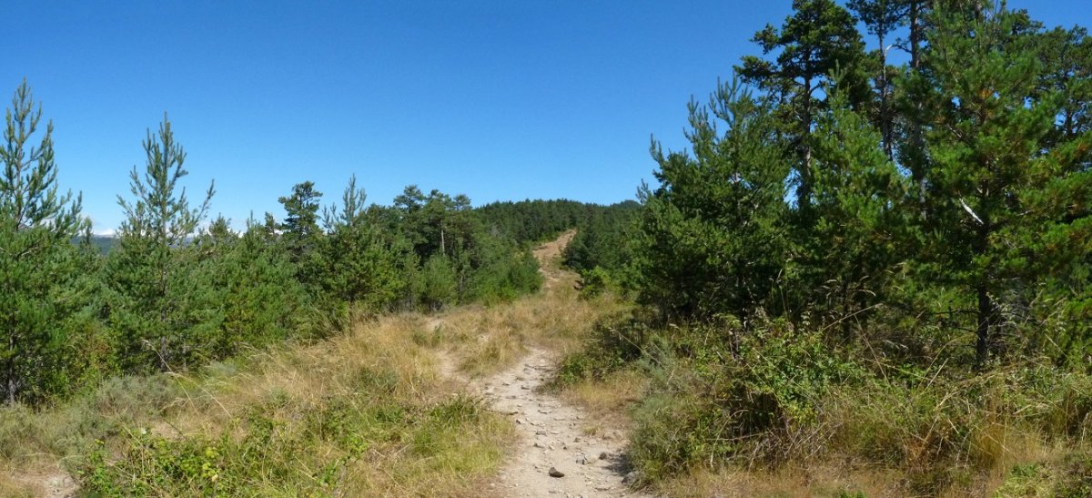Mendien sokatik igarotzen den bidea