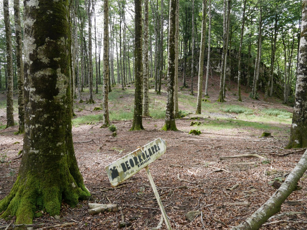 Beorkolarrerako bidea egiteko gonbitea, Iparralderagoko lepoan