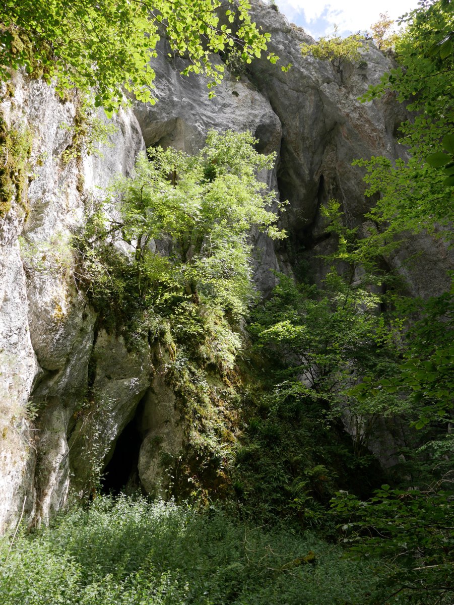 Beste hainbat zulo inguruetan