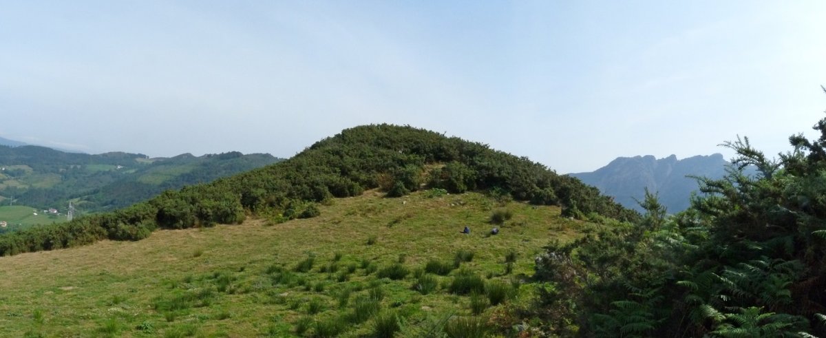 Pagolarreko gailurra, sasi eta oteek hartua