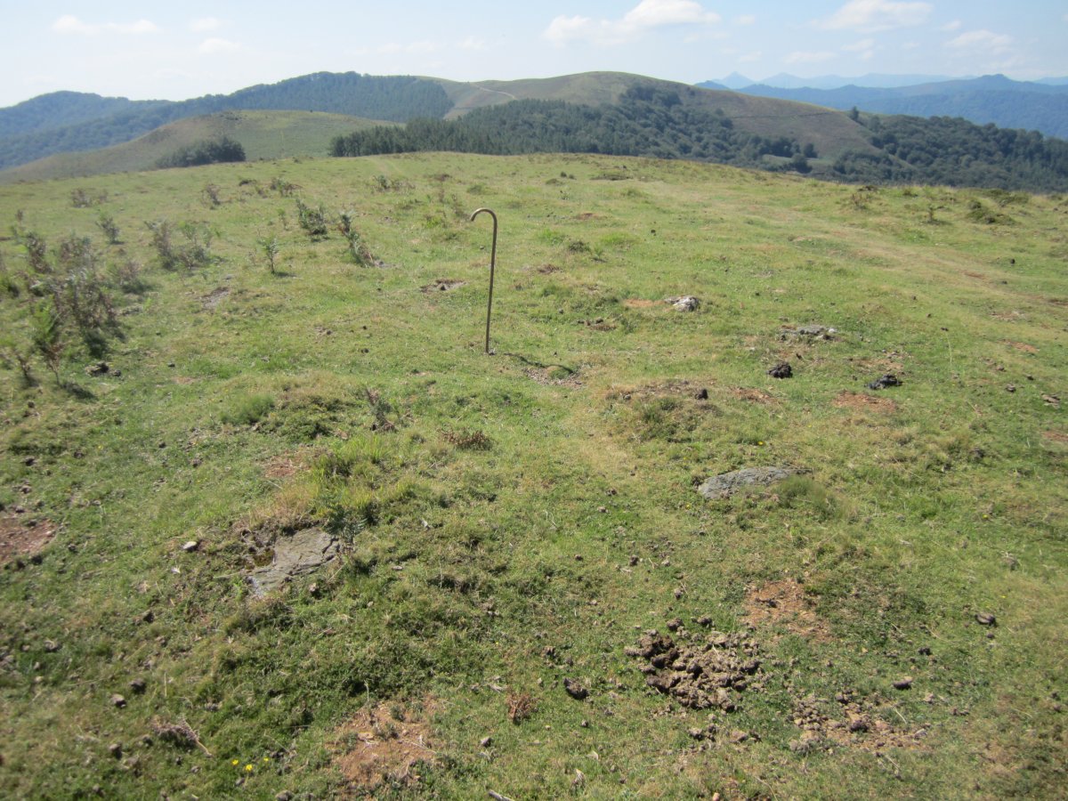 Cromlech Etsain Bizkarra  (Setiembre 2016)