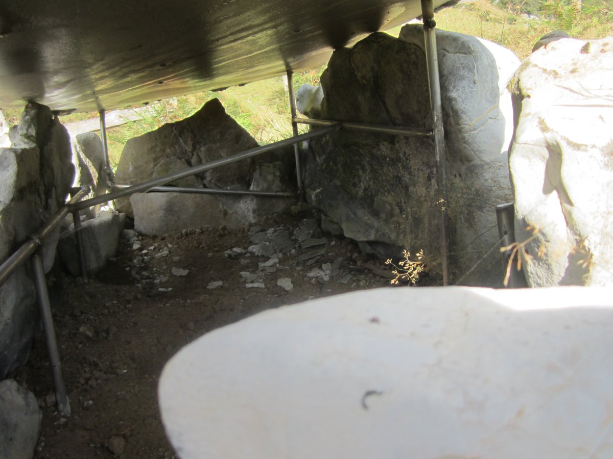 Cista Ondarre  (Septiembre  2016)