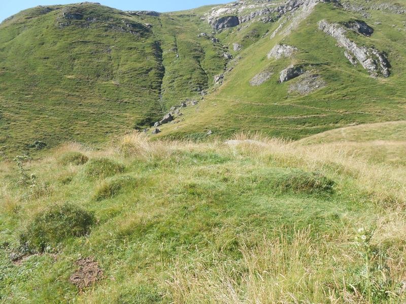 Arroyo de Escuret 2 tumulua