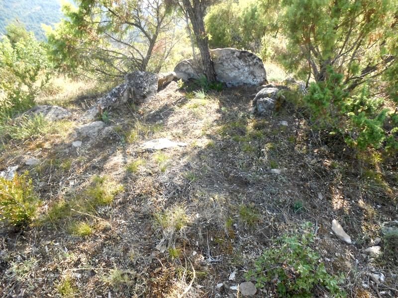 As Tallatas trikuharria