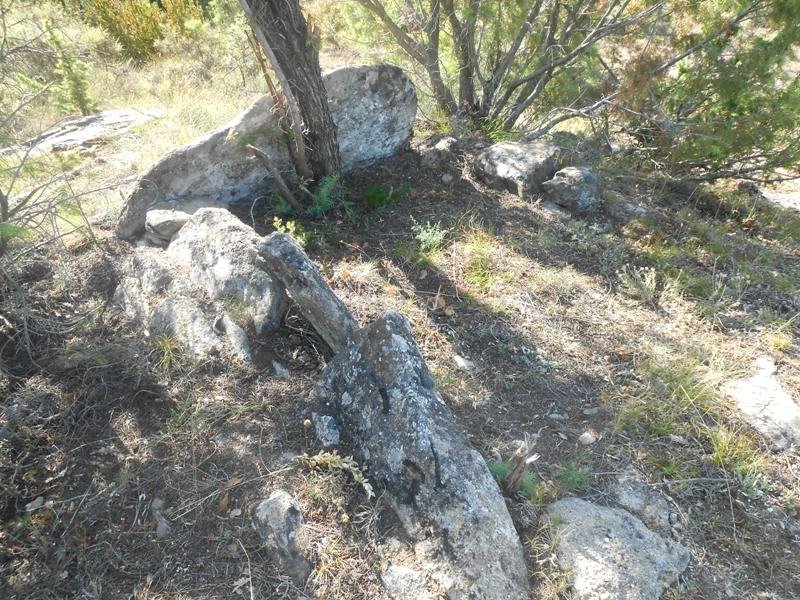 As Tallatas trikuharria