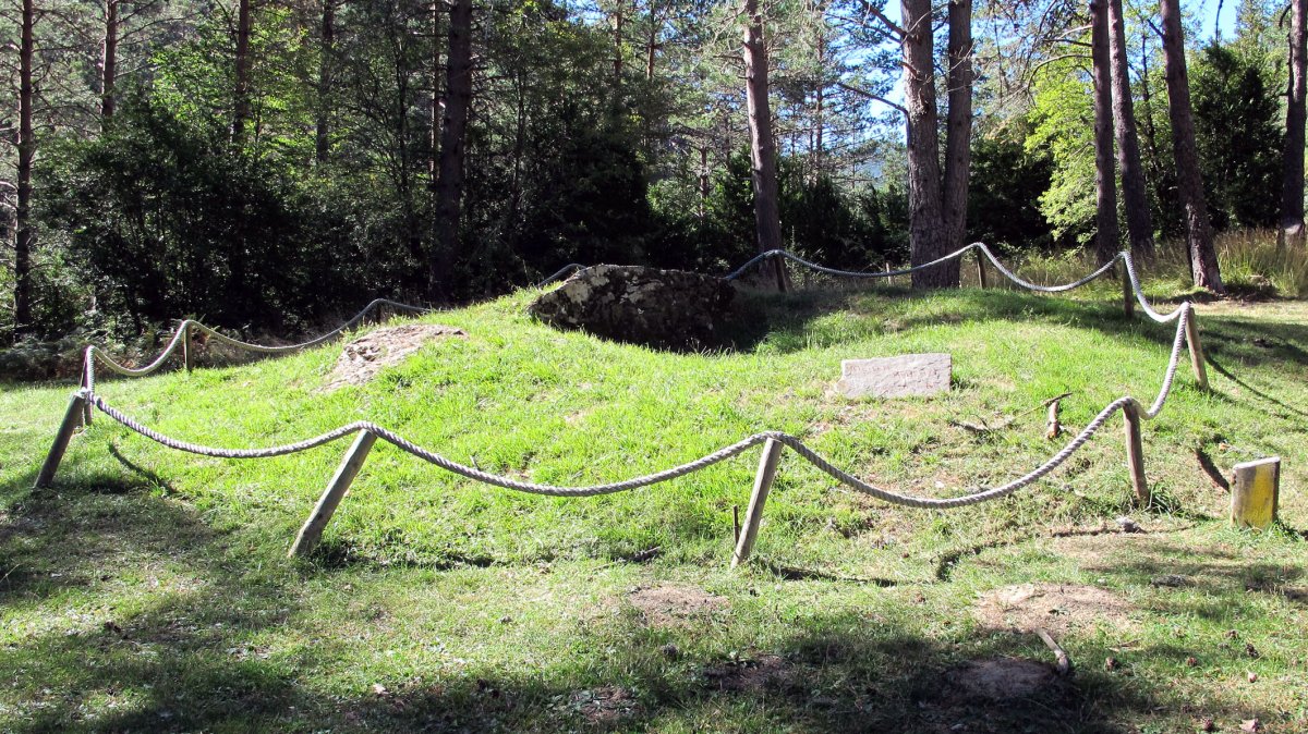 Asolaze trikuharria, Izaba