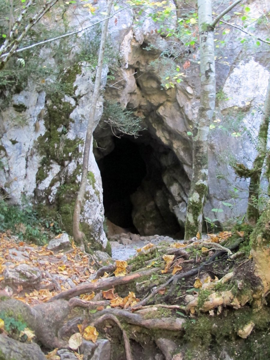 Iboneko Kobazuloa, Izaba