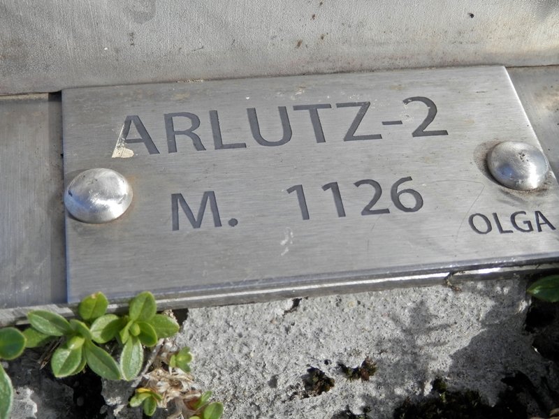 Buzoiko Plaka Ekialdeko Tontorran