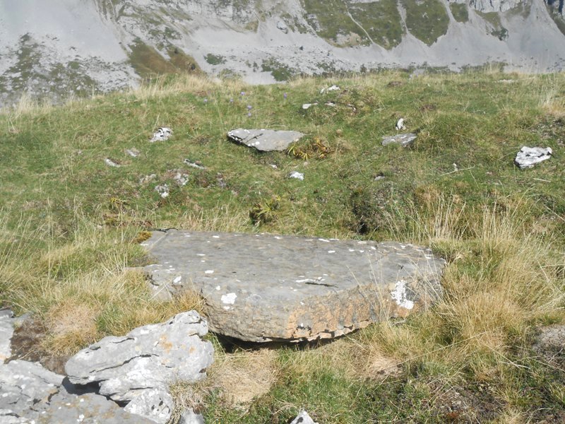 Countendé 1 trikuharria