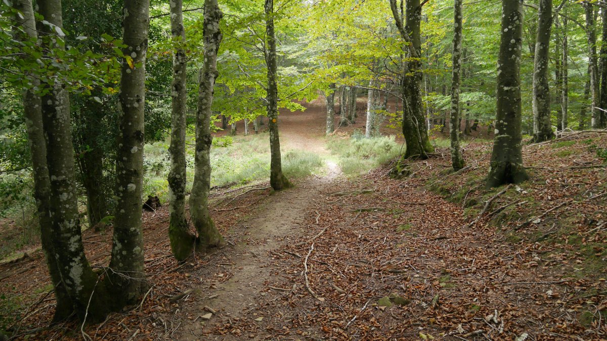 Iramendiko igoera, Iparraldeko bizkarretik