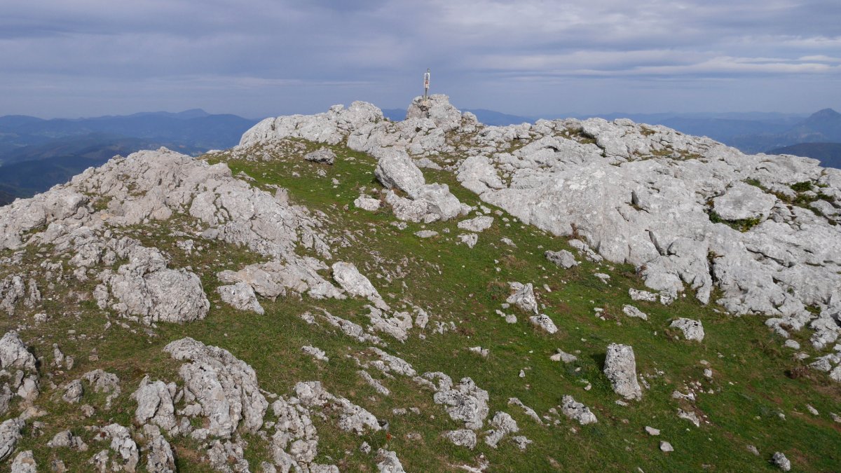 Elurzuloetako tontorra