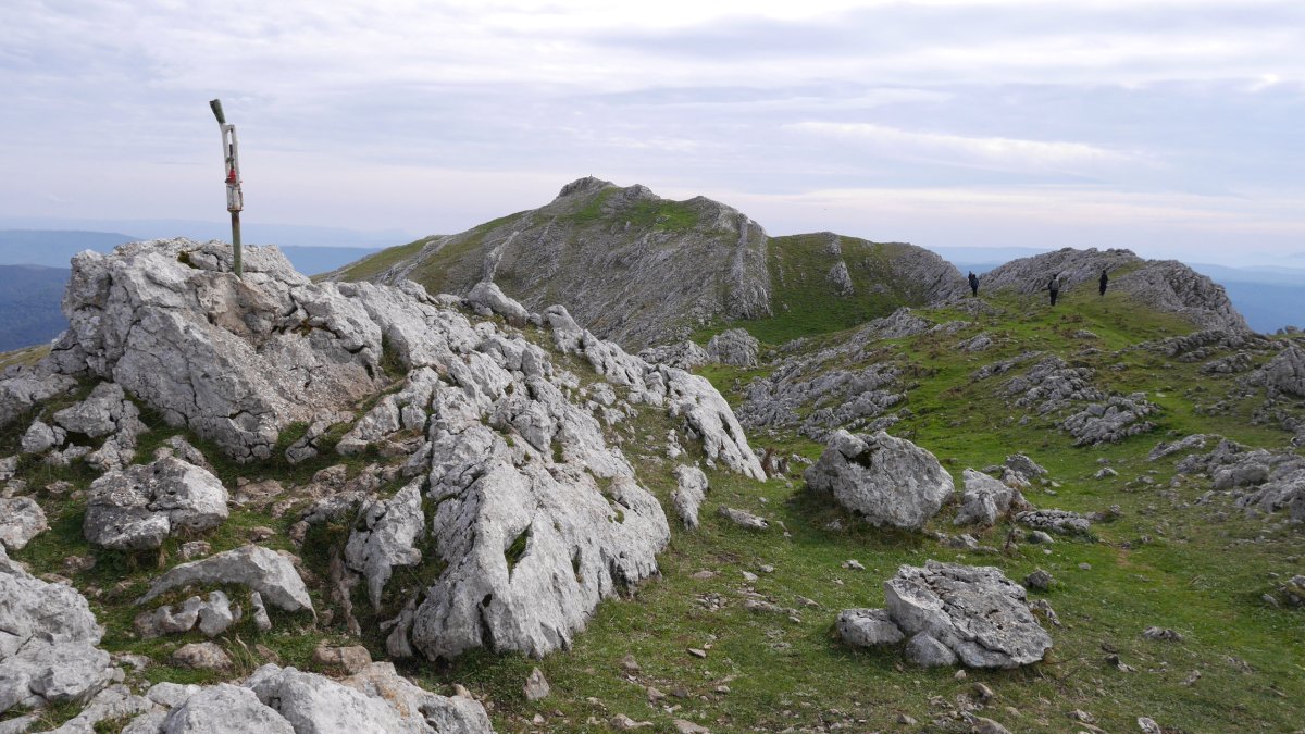 Elurzuloetako tontorra