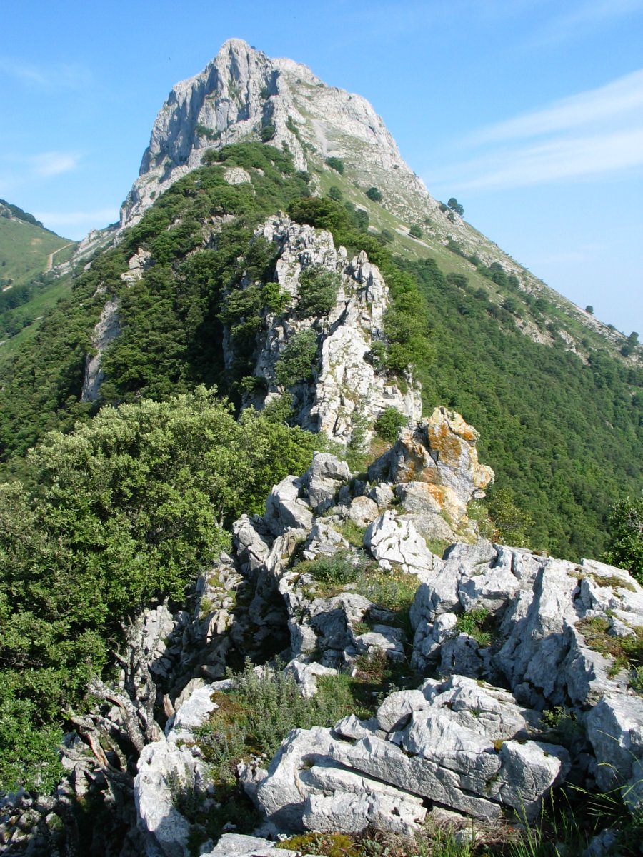 Ekialdeko gandorretik