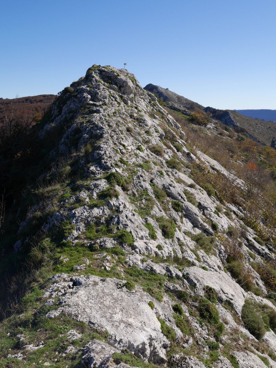 Tontorra Mendebaldetik