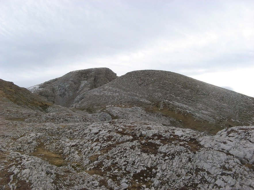 Budogia occ., azken lepotik