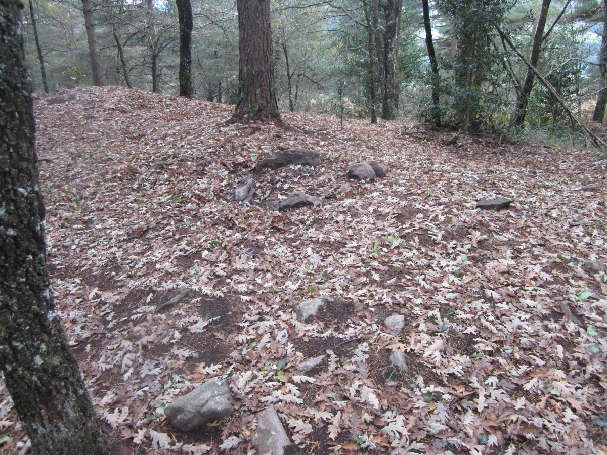 Dólmen Artabilla 2    (Noviembre  2016)