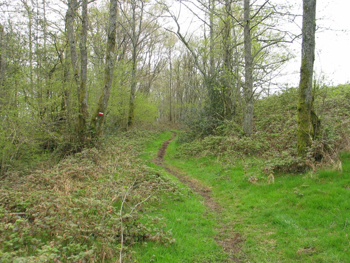 Andazarreta eta Iturriotz arteko bidearen pasarte bat