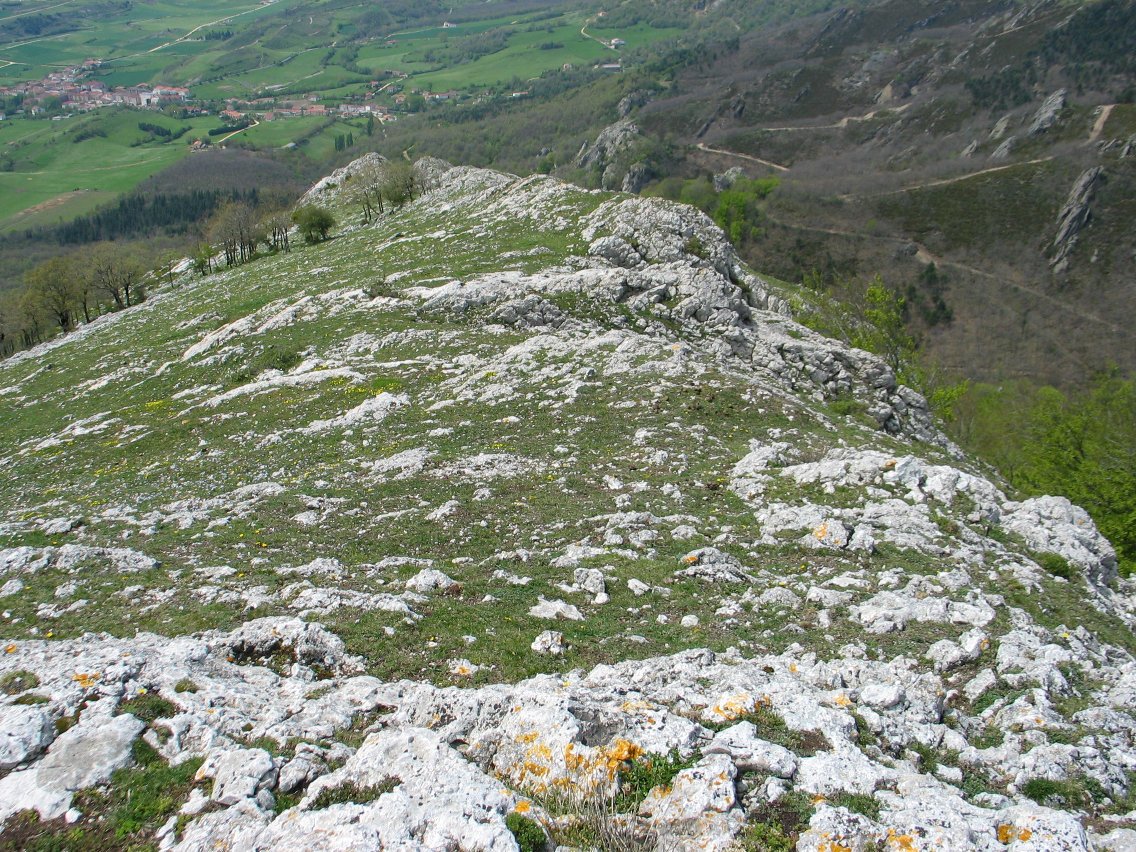 Mendebaldeko bizkarra goitik
