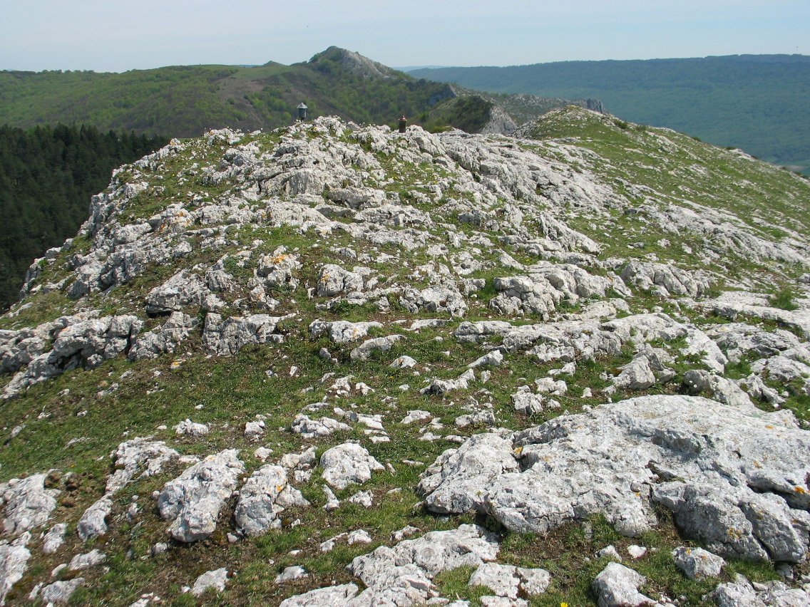 Tontorra Mendebaldetik