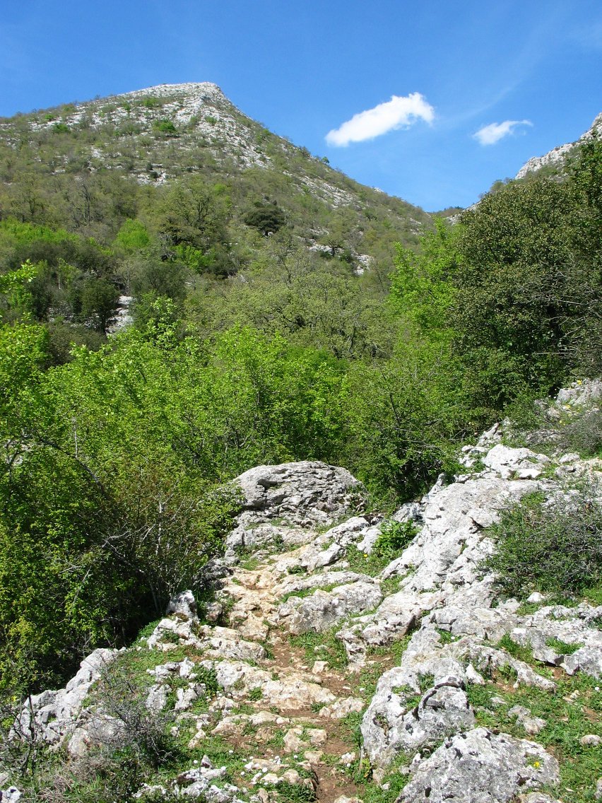 Artxipiko bidea, erreka zokora sartu aurretik