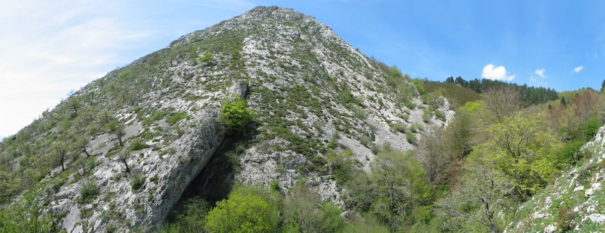 Artxipi aldetik ikusita