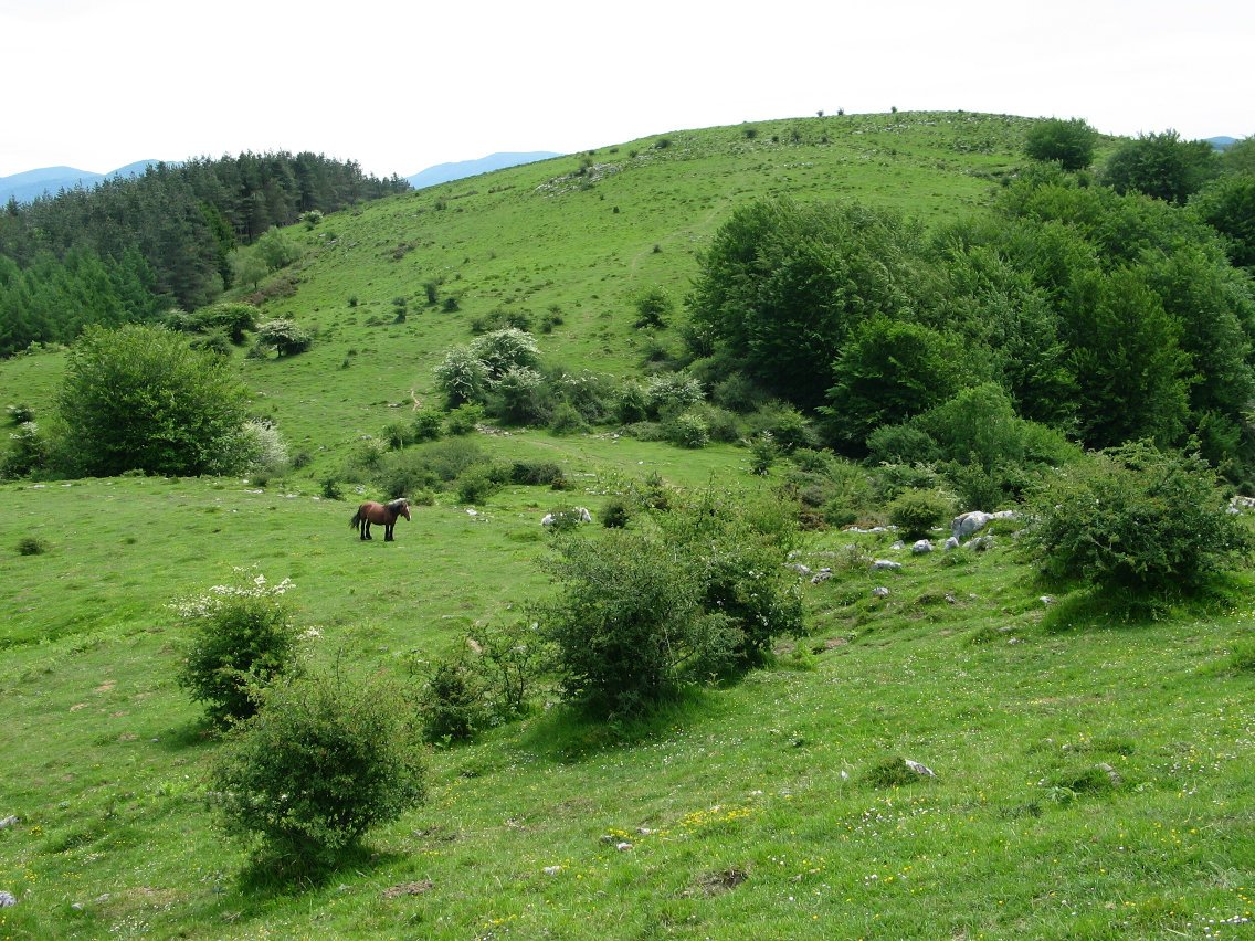 Berrotako lepoa, Erroizpe eta Laarte artean
