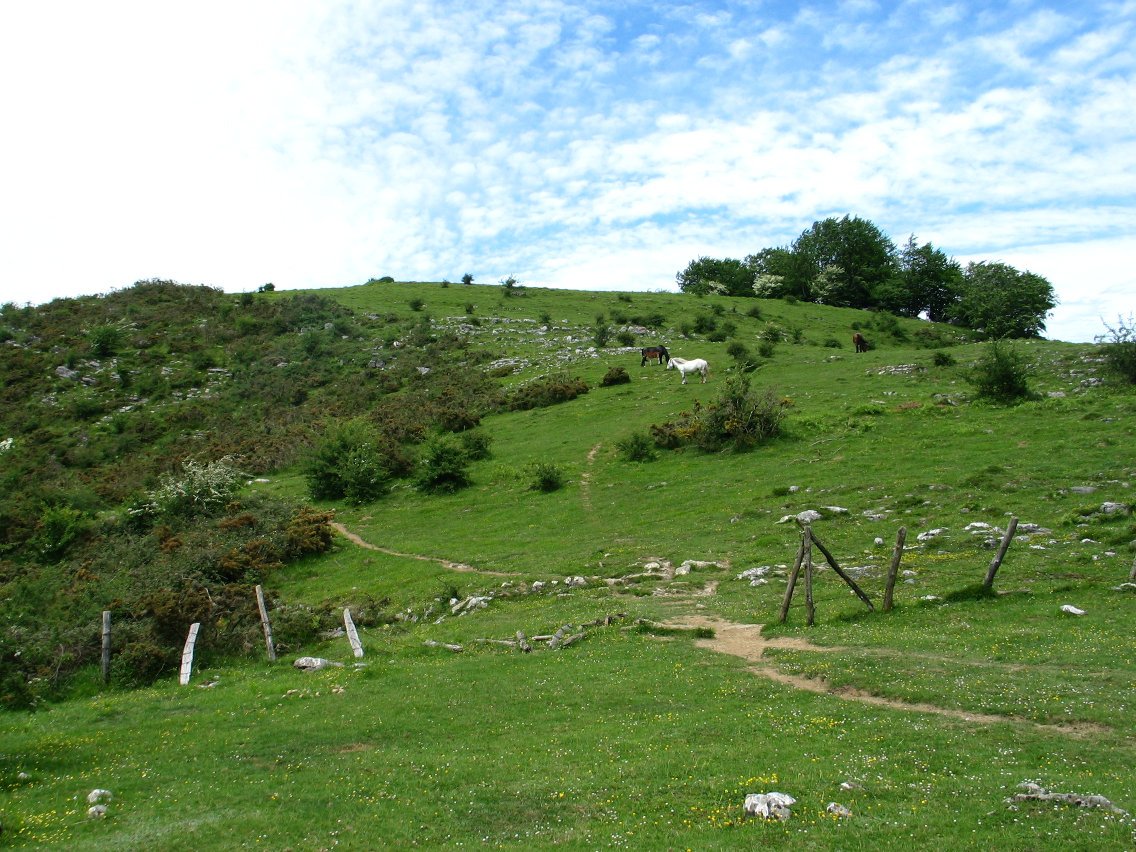 Erroizpeko Ekialdeko bizkarra, Berrotako lepotik
