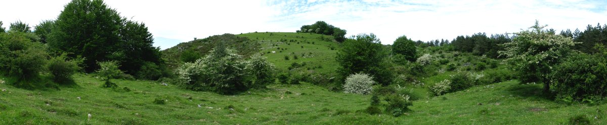 Erroizpe Laarte aldetik ikusita