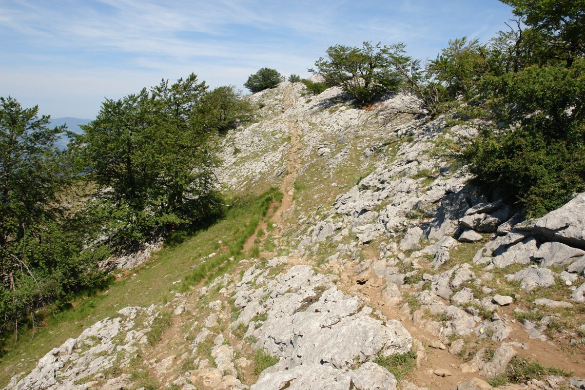 Ekialdeko gandorreko bidea