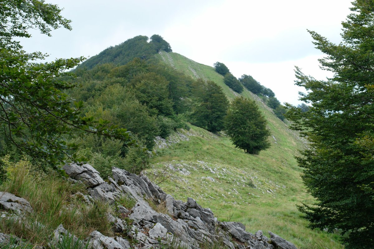 Uraitz aldetik ikusita