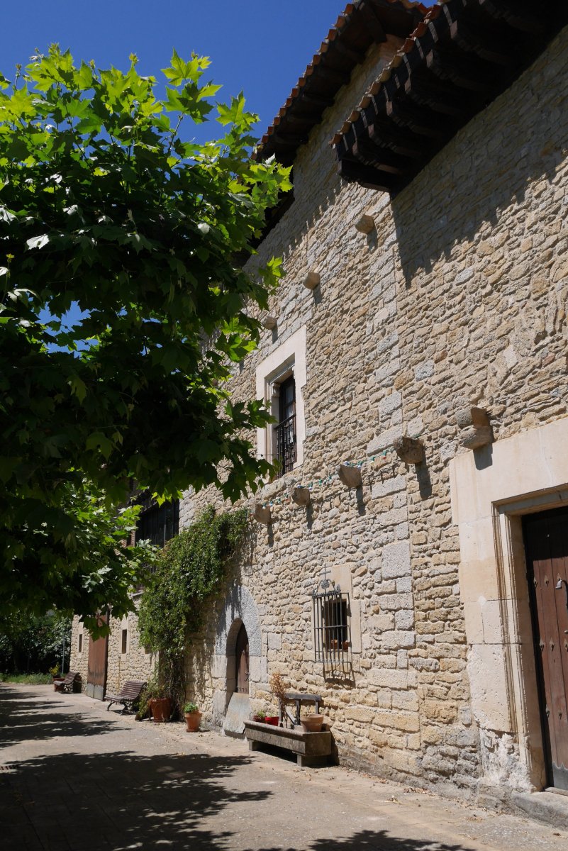 Dorre Zuria, Oreitia