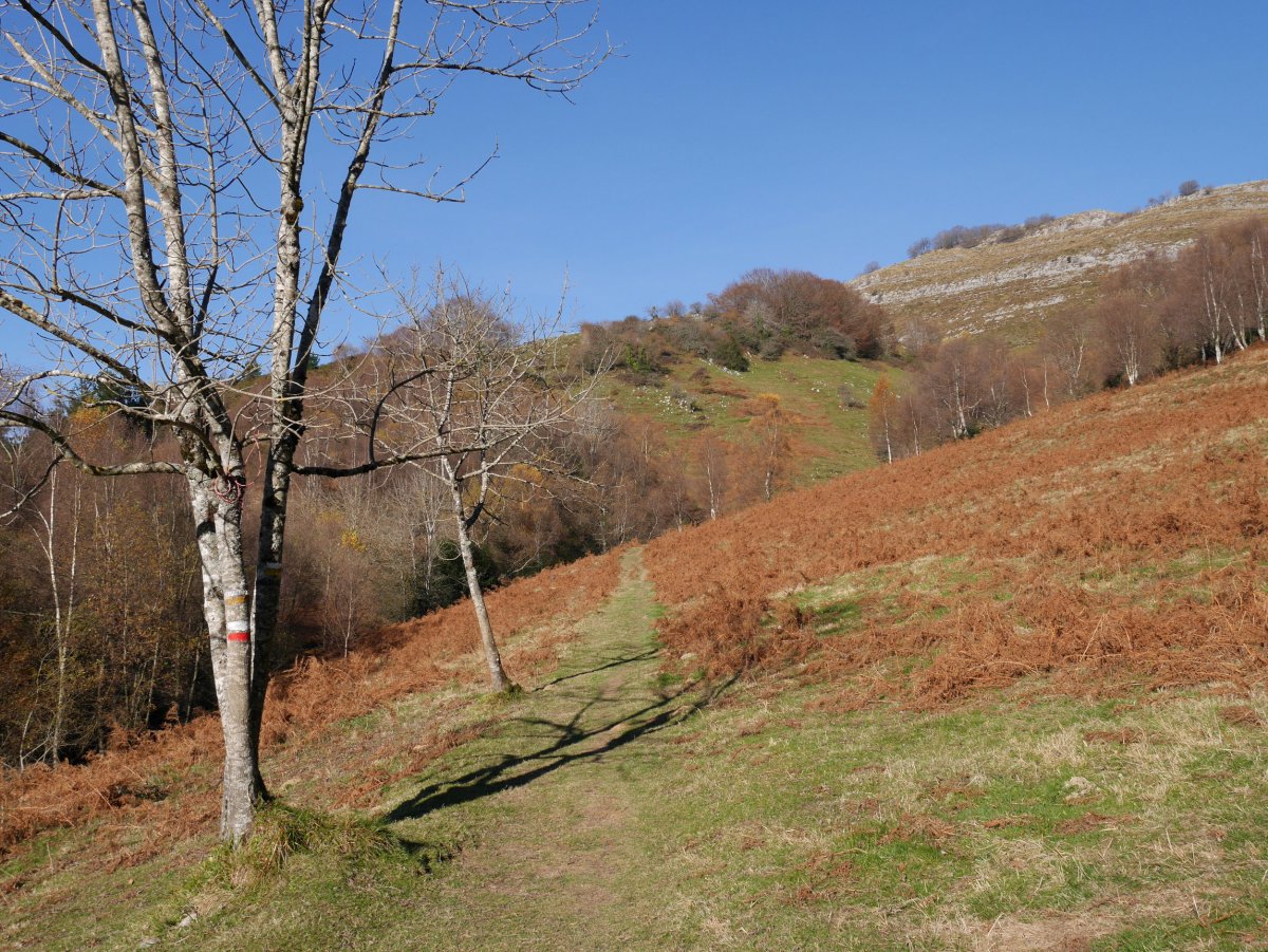 GR bidearen arrastoak igoeran