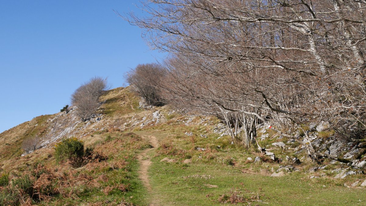 Ekialdeko bizkarreko bidea, Herniozabal