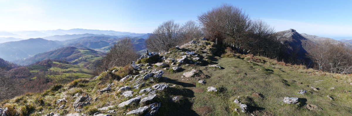 Herniozabal tontorra