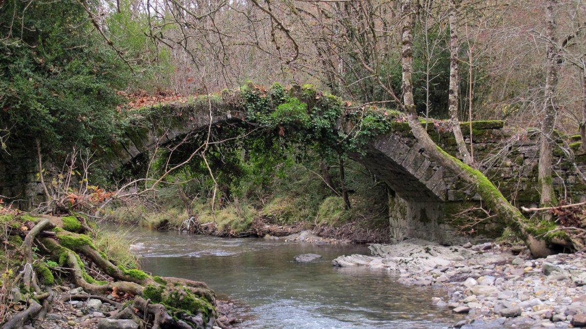 Urniza zubia, Urniza-Erroibar