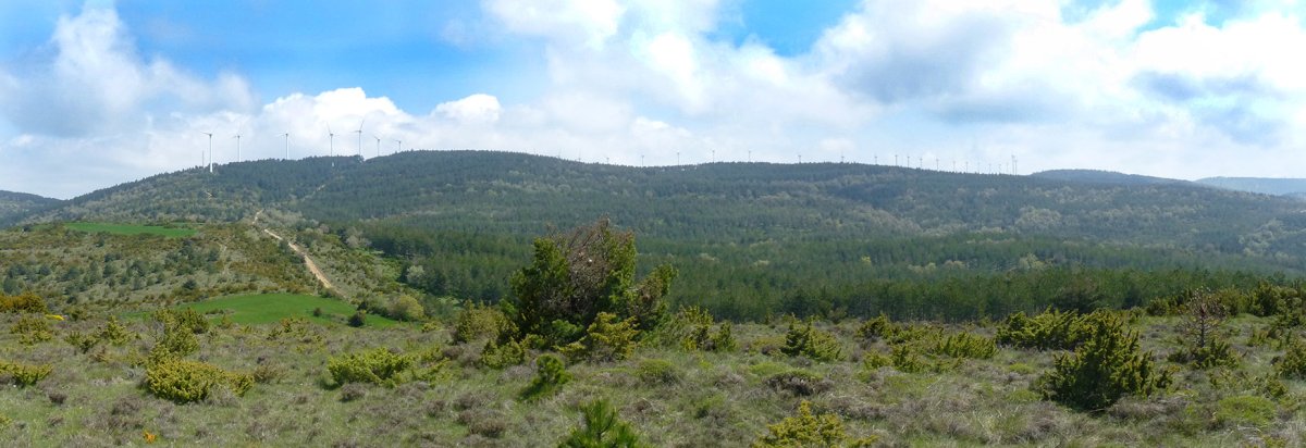 Sabaizako gainak hegoaldetik