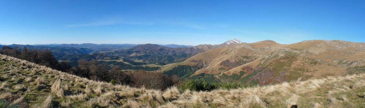 Pirinioetako paisaia zabalak