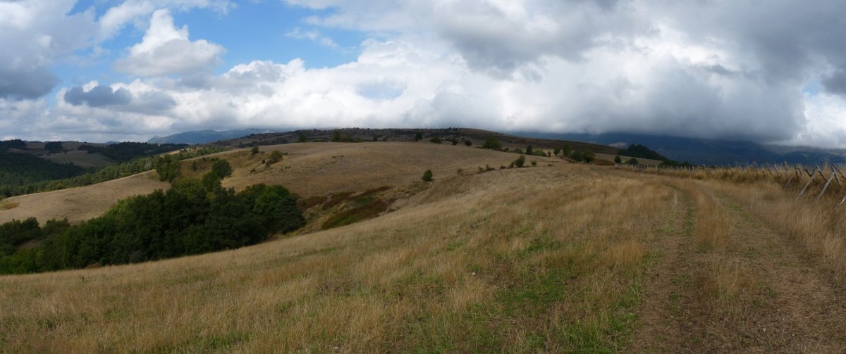 Udira daramaten bizkar zabalak