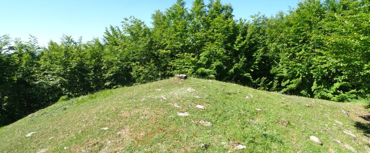 Gaztuluzarreko gailurra