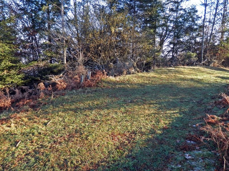 Mendebaldeko Tontorra