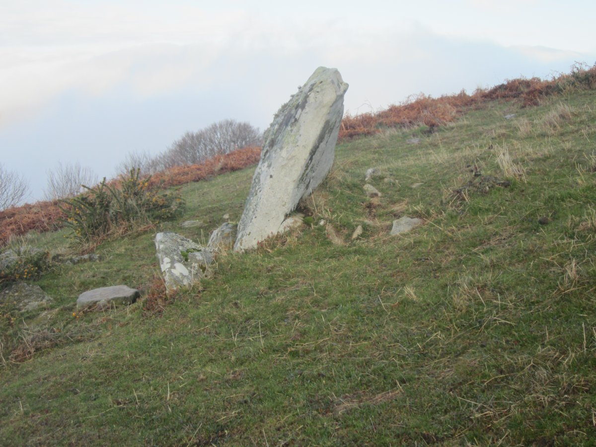 Menhir Pinpil 2  (Diciembre 2016)