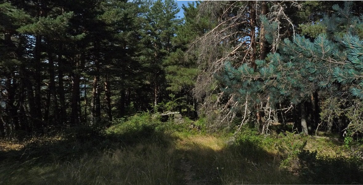 Borda baten hondakinak basoan Kunbieta gainean