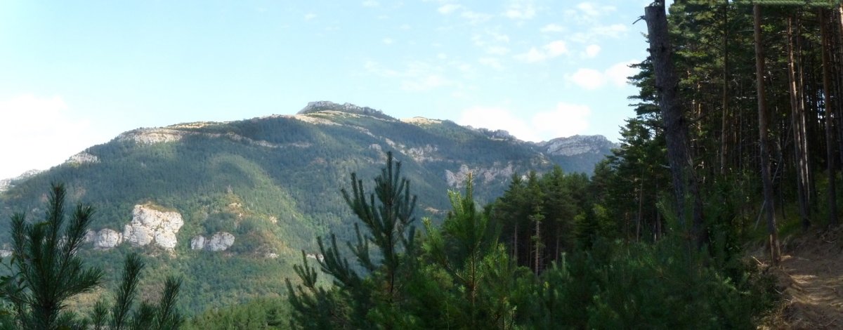 Larrazako malkarrak Coronako bidetik