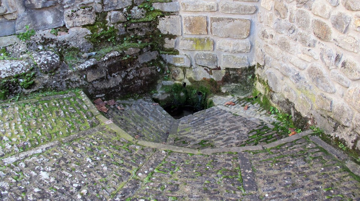 Goraño iturria, Bidankoze