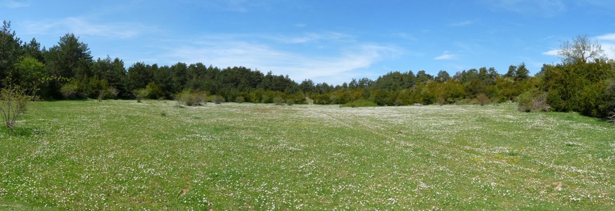 Larre ederrak bidean