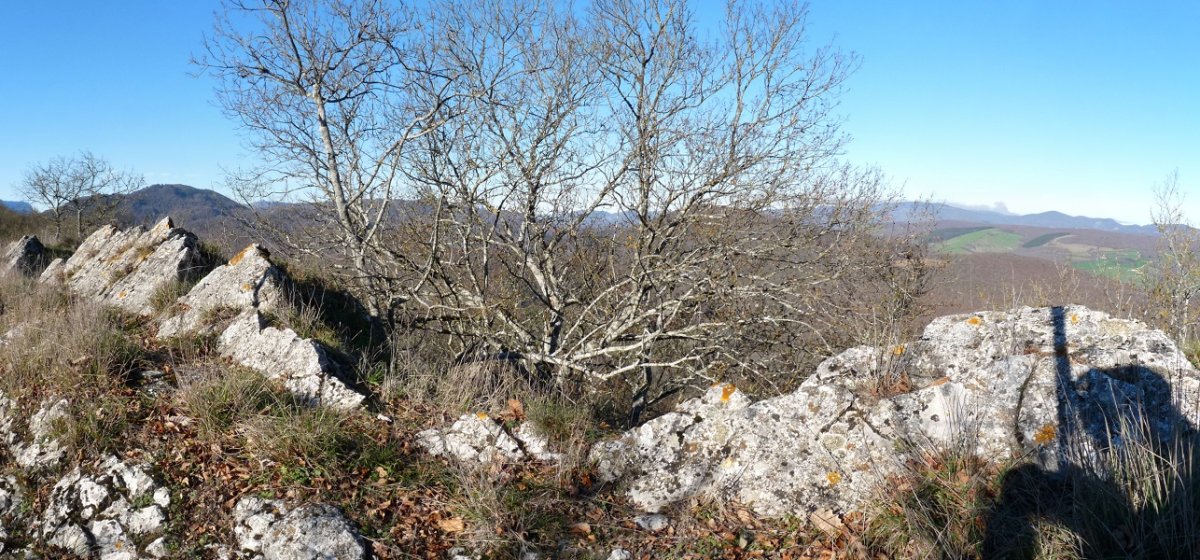 Mendurro eta Zanborraga mendien arteko gandorra